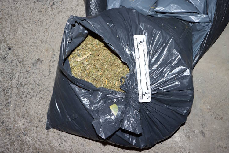 Slika /PU_ZG/slike/PUZ/2025/STUDENI/DROGA 18 11 2025/FOTO1.jpg